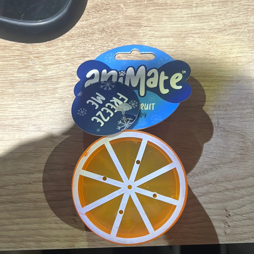 Animate orange frozen