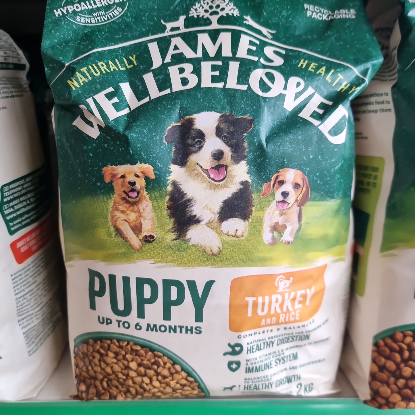 James Wellbeloved - Turkey Puppy