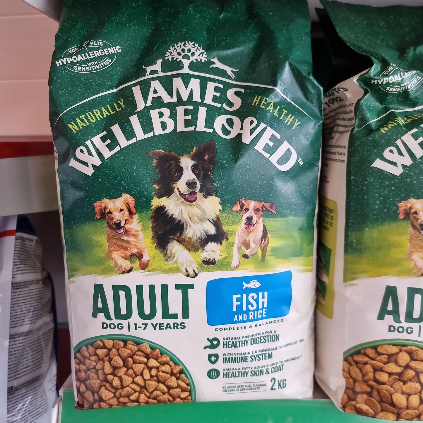 James Wellbeloved adult Fish & Rice 2kg