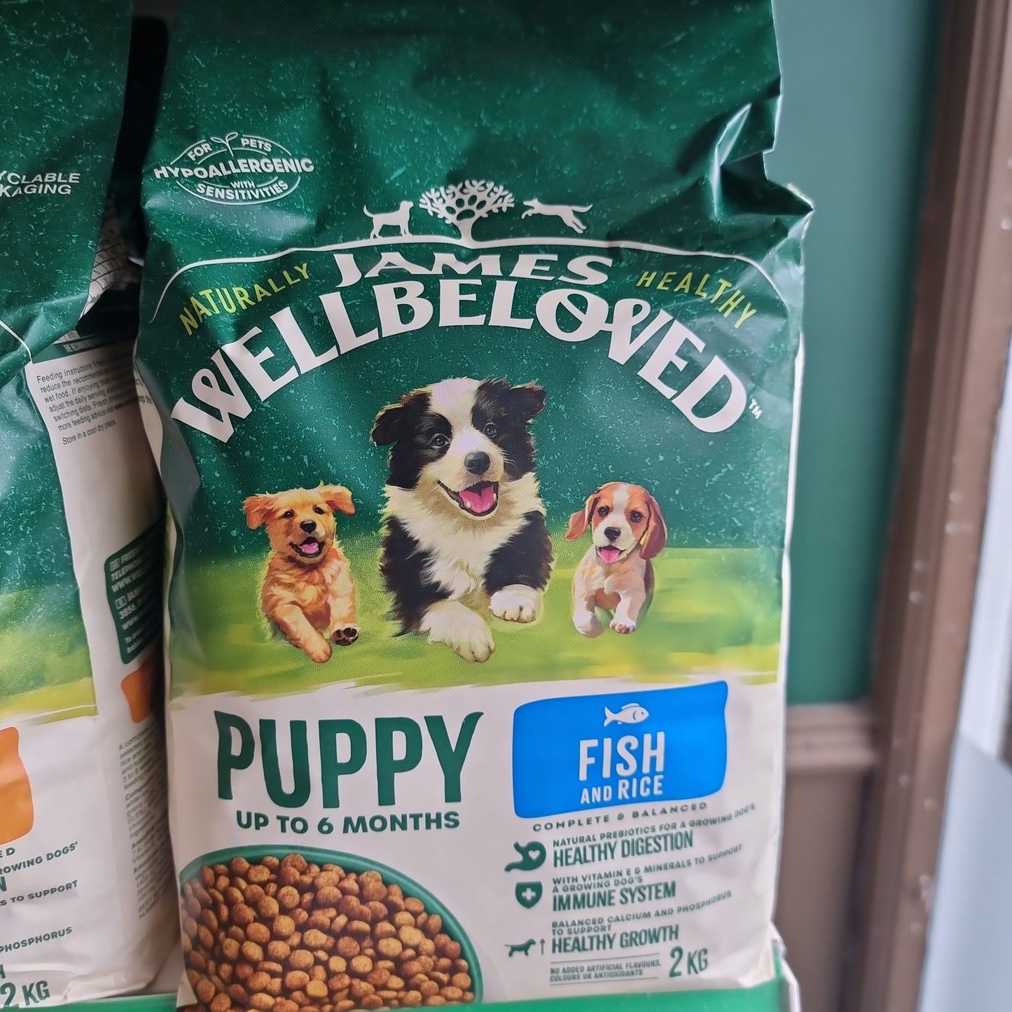 James Wellbeloved Puppy Fish 2kg