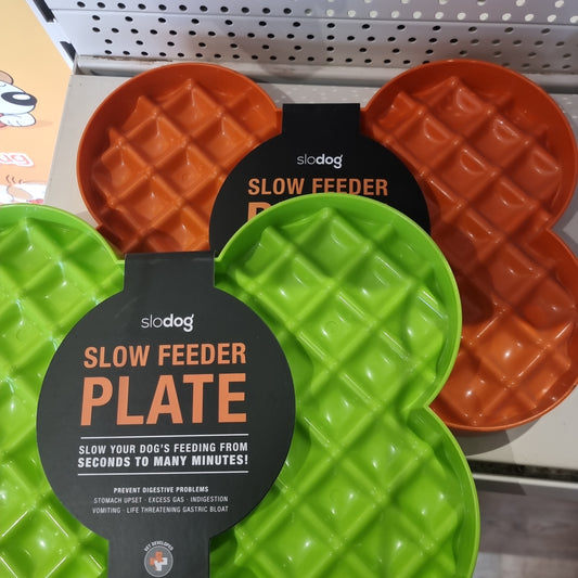 Slow Feeder Plate