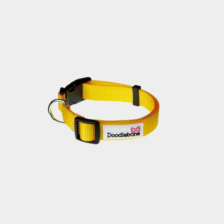 Doodle Bone Collar Small