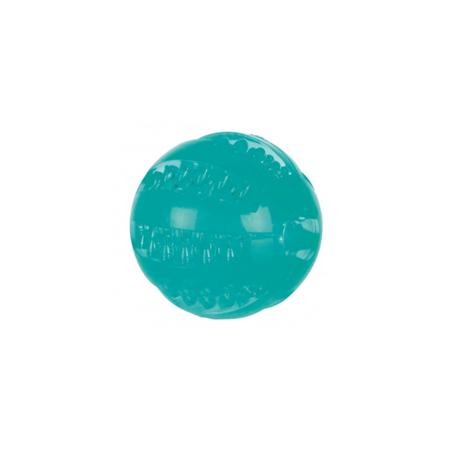 Dental Fun Ball Mint 6cm