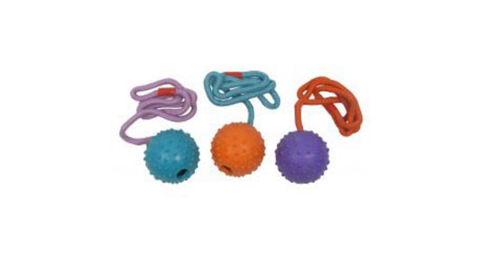 Good Boy Fetch Dog Toy Ball N Rope